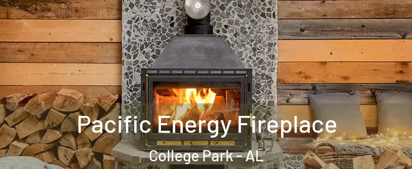 Pacific Energy Fireplace College Park - AL