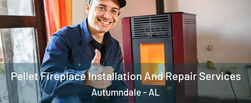 Pellet Fireplace Installation And Repair Services Autumndale - AL