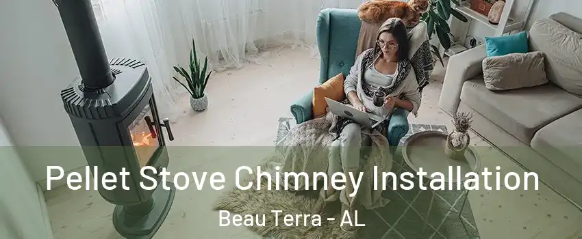 Pellet Stove Chimney Installation Beau Terra - AL