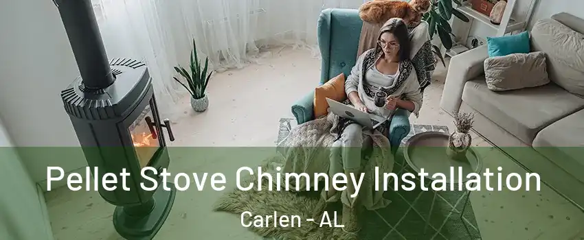 Pellet Stove Chimney Installation Carlen - AL