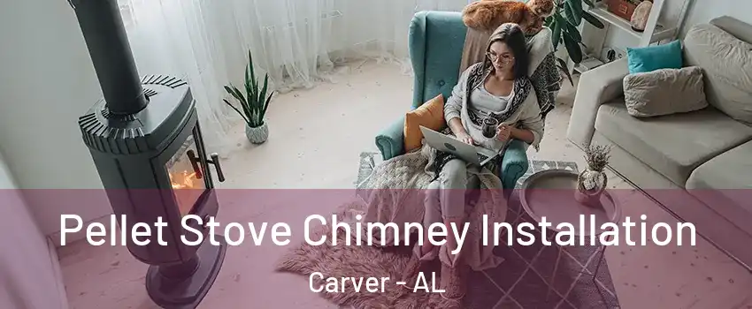 Pellet Stove Chimney Installation Carver - AL