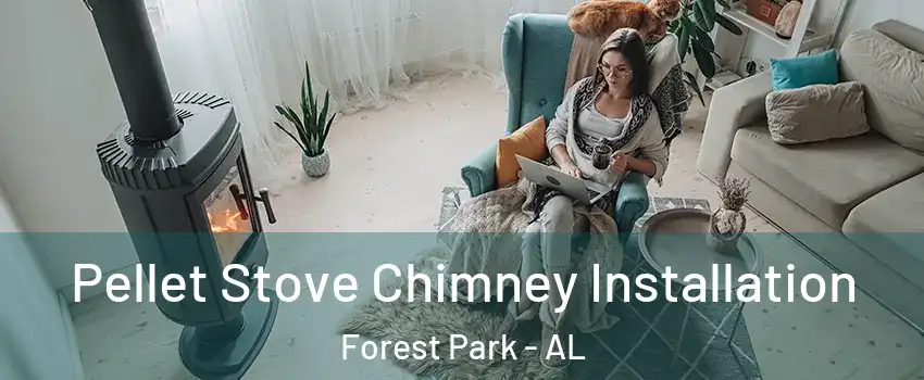 Pellet Stove Chimney Installation Forest Park - AL