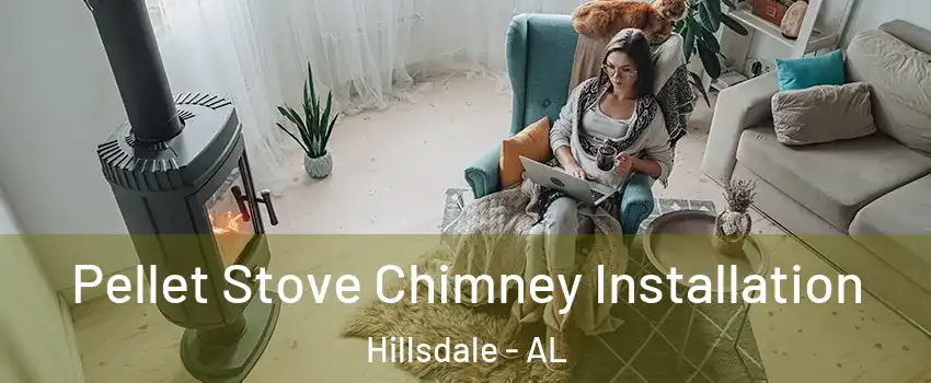 Pellet Stove Chimney Installation Hillsdale - AL