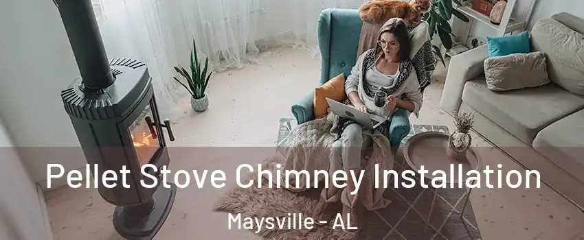 Pellet Stove Chimney Installation Maysville - AL