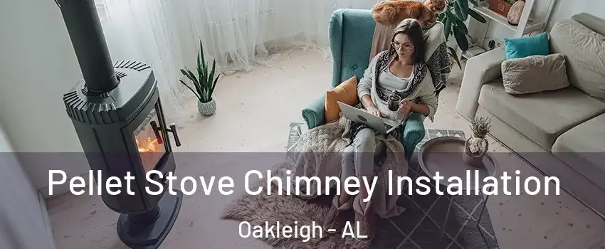 Pellet Stove Chimney Installation Oakleigh - AL