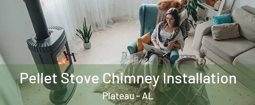 Pellet Stove Chimney Installation Plateau - AL