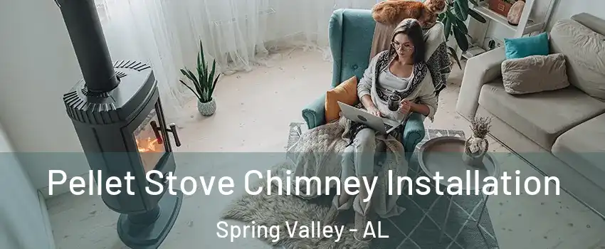 Pellet Stove Chimney Installation Spring Valley - AL