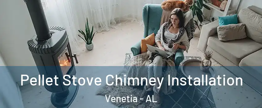 Pellet Stove Chimney Installation Venetia - AL