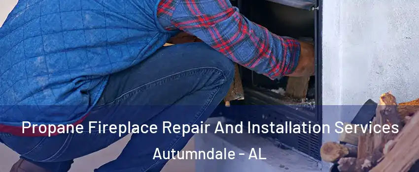 Propane Fireplace Repair And Installation Services Autumndale - AL