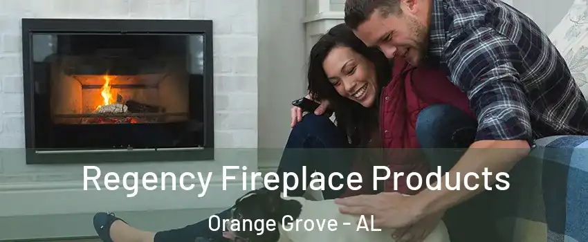Regency Fireplace Products Orange Grove - AL