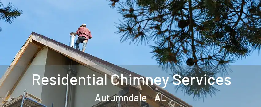Residential Chimney Services Autumndale - AL