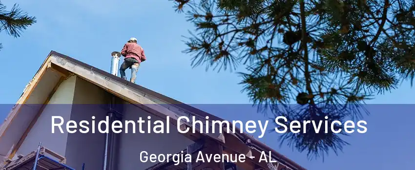 Residential Chimney Services Georgia Avenue - AL