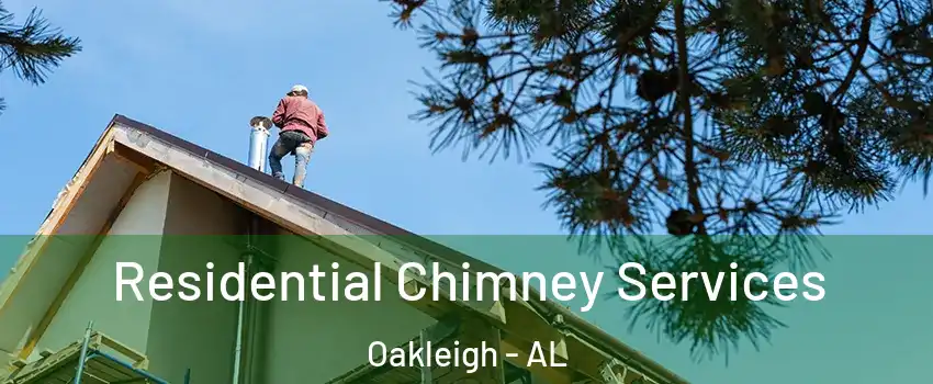 Residential Chimney Services Oakleigh - AL