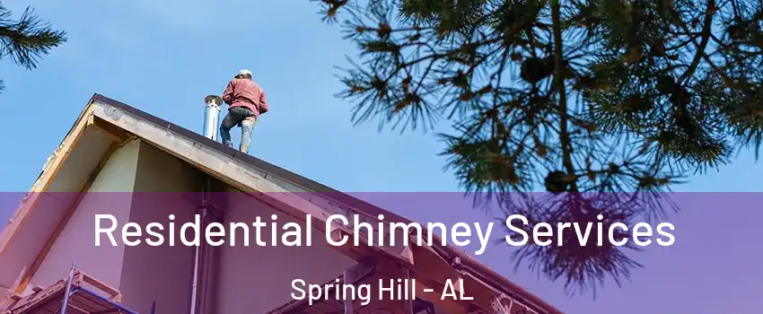 Residential Chimney Services Spring Hill - AL