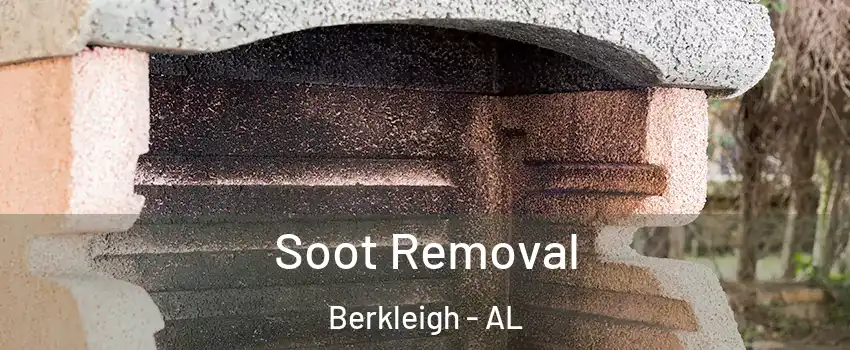 Soot Removal Berkleigh - AL