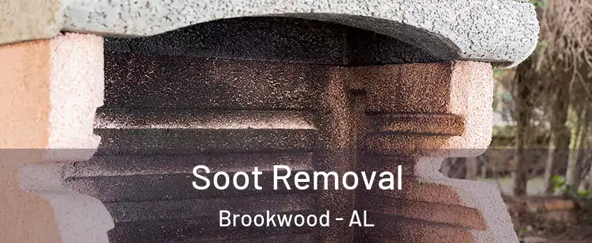 Soot Removal Brookwood - AL
