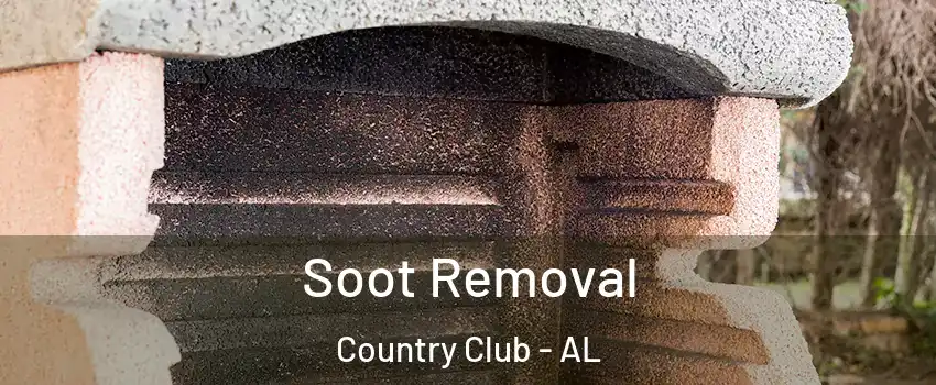 Soot Removal Country Club - AL
