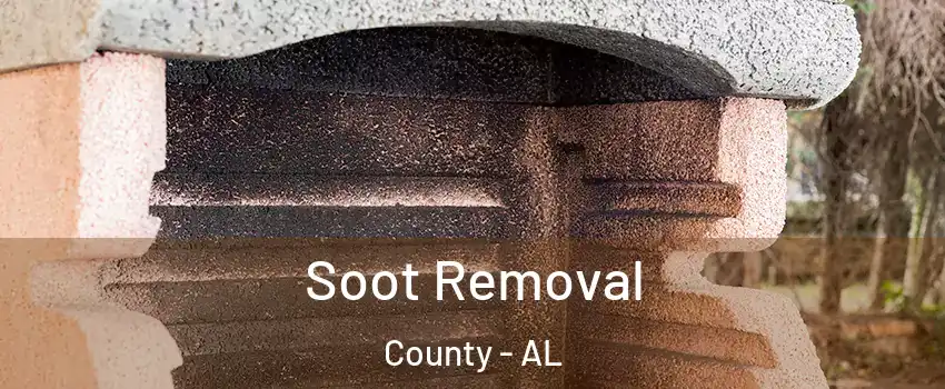Soot Removal County - AL