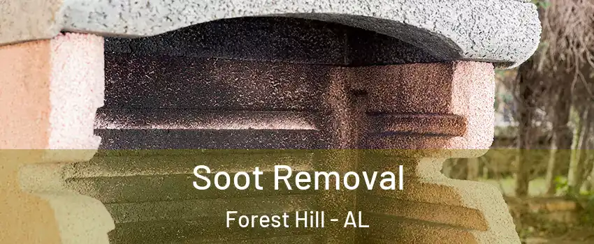 Soot Removal Forest Hill - AL