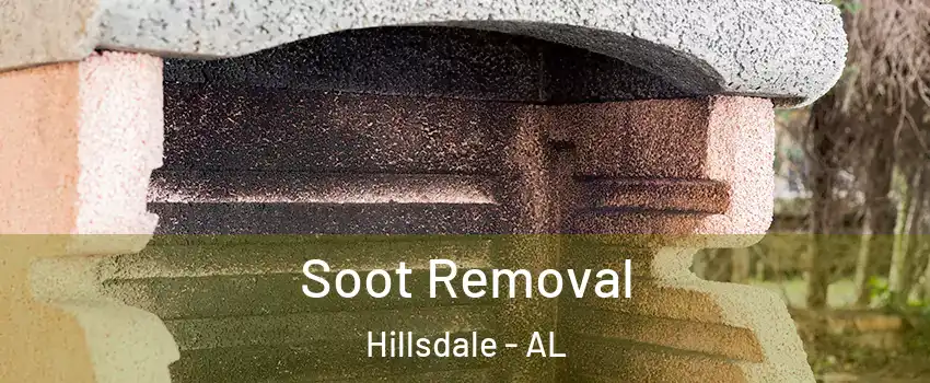 Soot Removal Hillsdale - AL