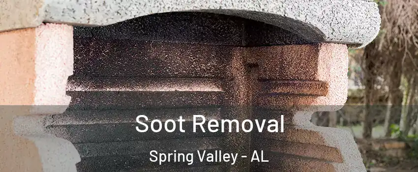 Soot Removal Spring Valley - AL