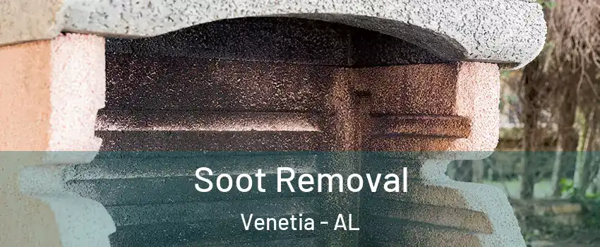 Soot Removal Venetia - AL