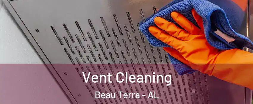 Vent Cleaning Beau Terra - AL