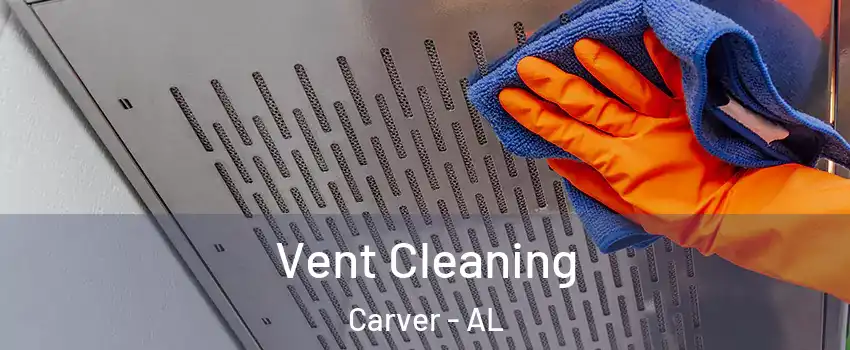 Vent Cleaning Carver - AL