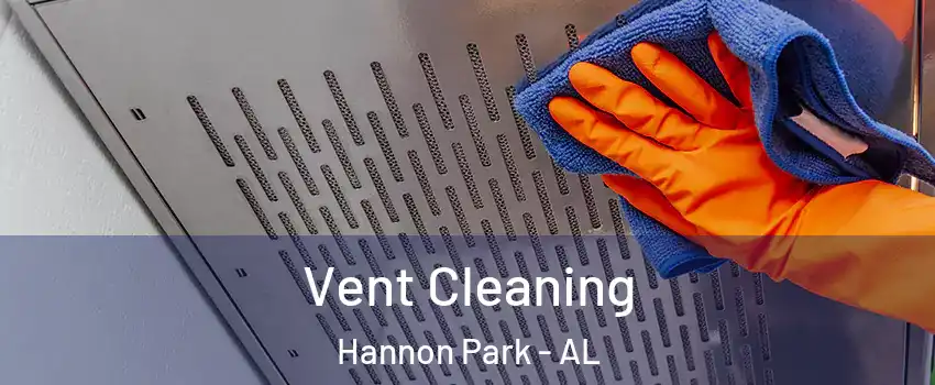 Vent Cleaning Hannon Park - AL