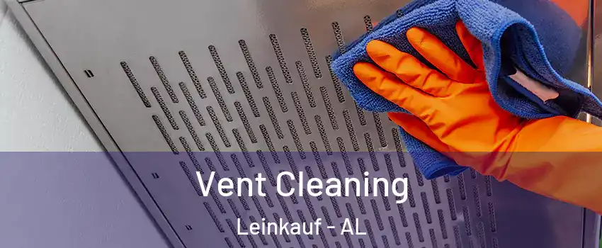 Vent Cleaning Leinkauf - AL