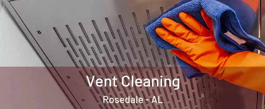 Vent Cleaning Rosedale - AL