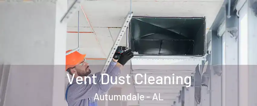 Vent Dust Cleaning Autumndale - AL