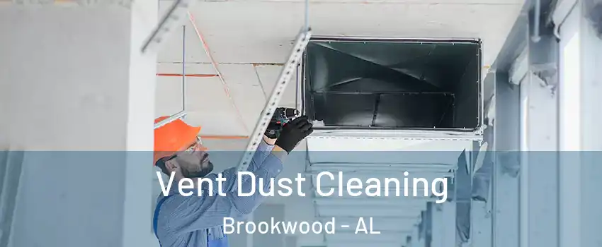 Vent Dust Cleaning Brookwood - AL