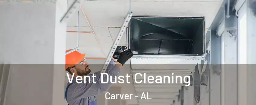 Vent Dust Cleaning Carver - AL