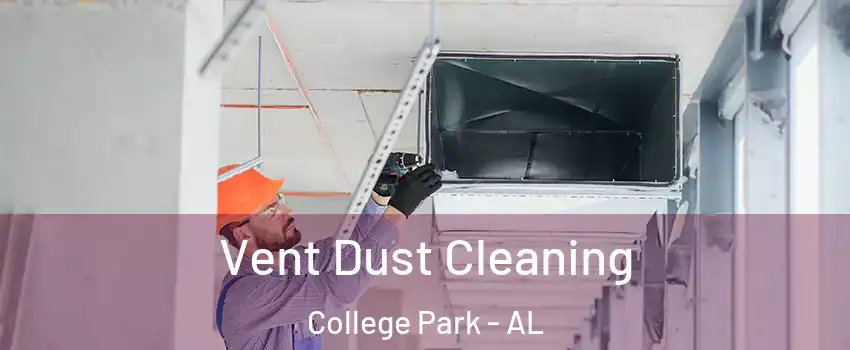 Vent Dust Cleaning College Park - AL