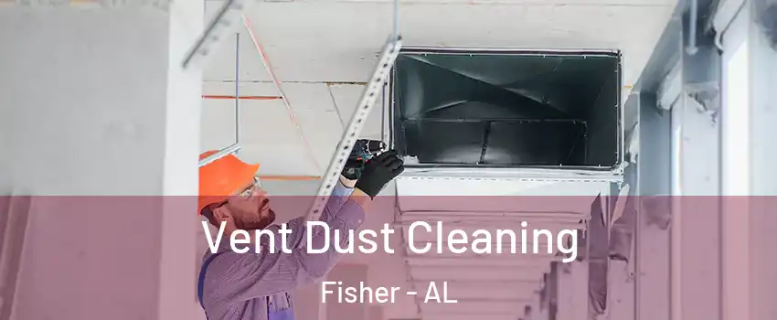 Vent Dust Cleaning Fisher - AL