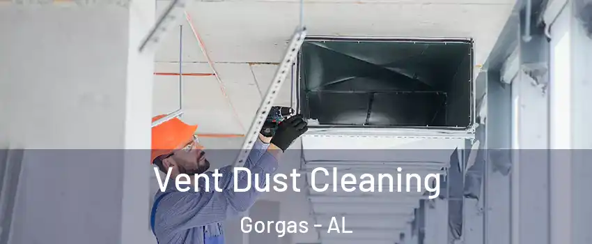 Vent Dust Cleaning Gorgas - AL