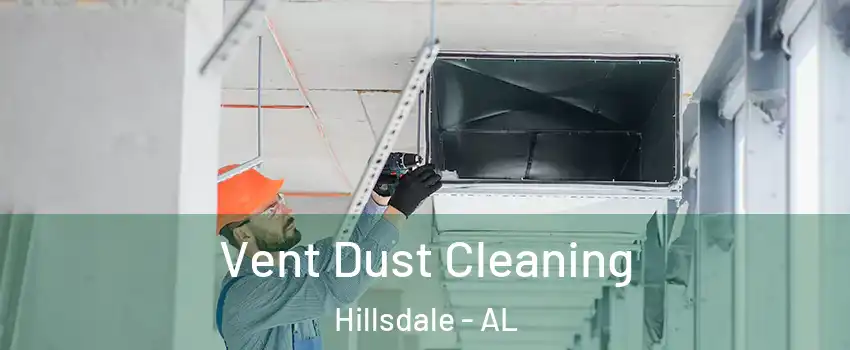 Vent Dust Cleaning Hillsdale - AL