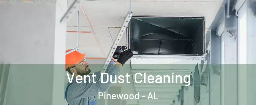 Vent Dust Cleaning Pinewood - AL