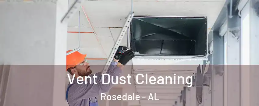 Vent Dust Cleaning Rosedale - AL