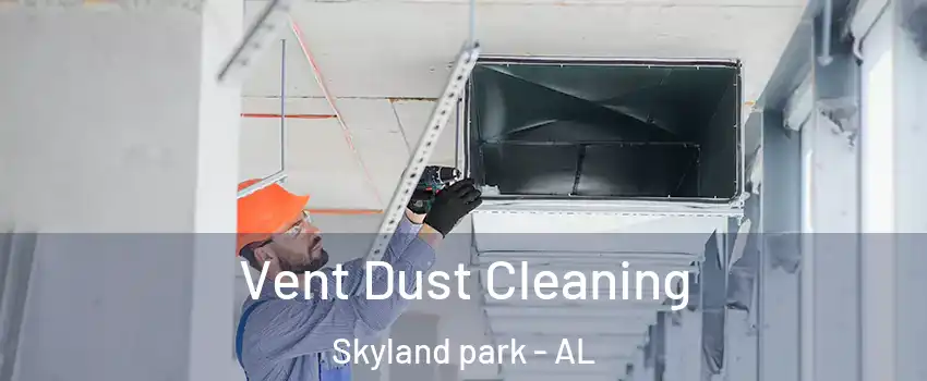 Vent Dust Cleaning Skyland park - AL