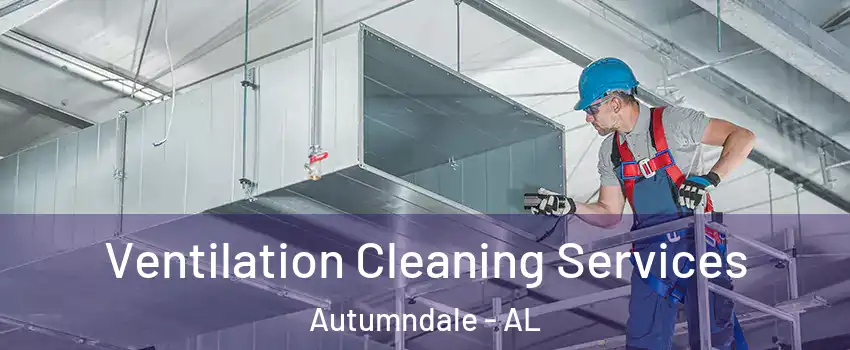 Ventilation Cleaning Services Autumndale - AL