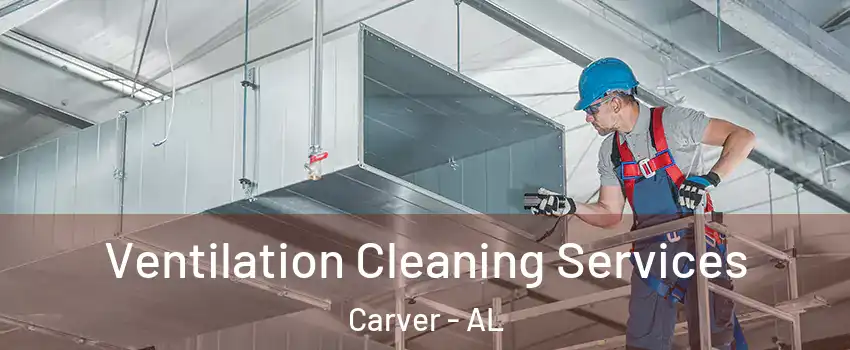 Ventilation Cleaning Services Carver - AL