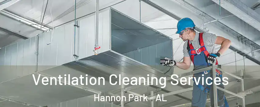 Ventilation Cleaning Services Hannon Park - AL
