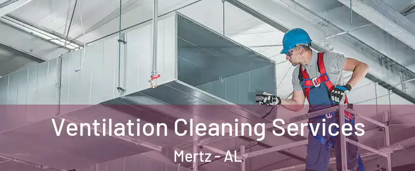 Ventilation Cleaning Services Mertz - AL