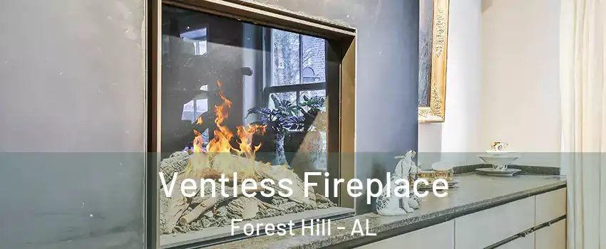 Ventless Fireplace Forest Hill - AL