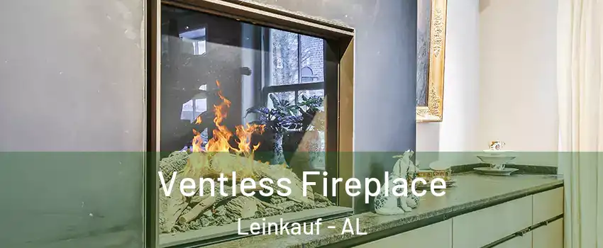 Ventless Fireplace Leinkauf - AL