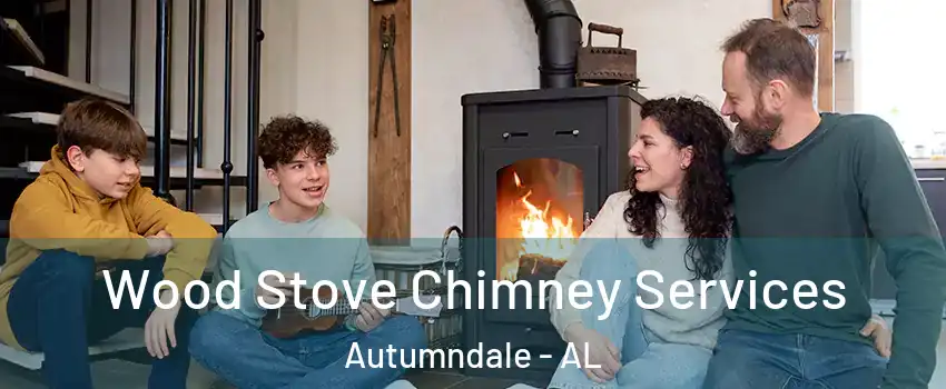 Wood Stove Chimney Services Autumndale - AL