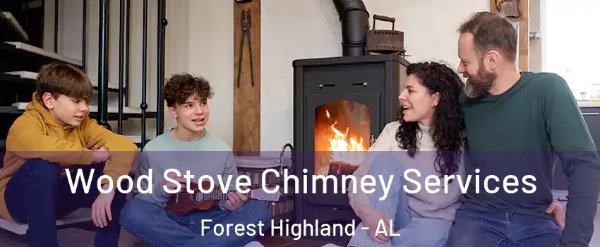 Wood Stove Chimney Services Forest Highland - AL