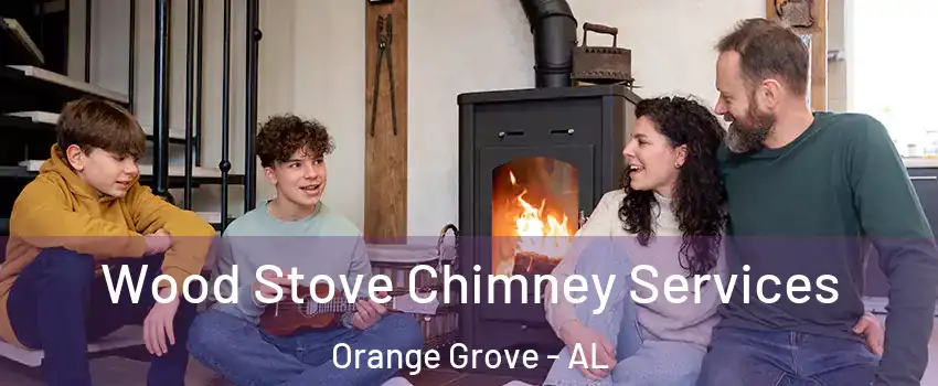 Wood Stove Chimney Services Orange Grove - AL